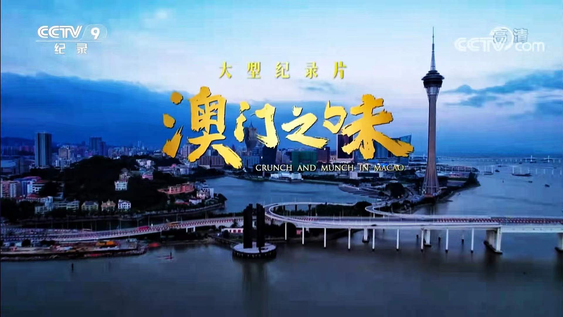 澳門在線視頻，探索與沉浸體驗