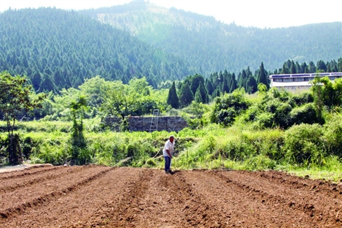 農(nóng)村荒山承包新政策，推動綠色發(fā)展的強大動力源泉