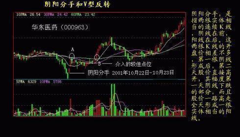 2024澳門特馬今晚開(kāi)什么,以下是一個(gè)澳門特馬預(yù)測(cè)的案例分析：