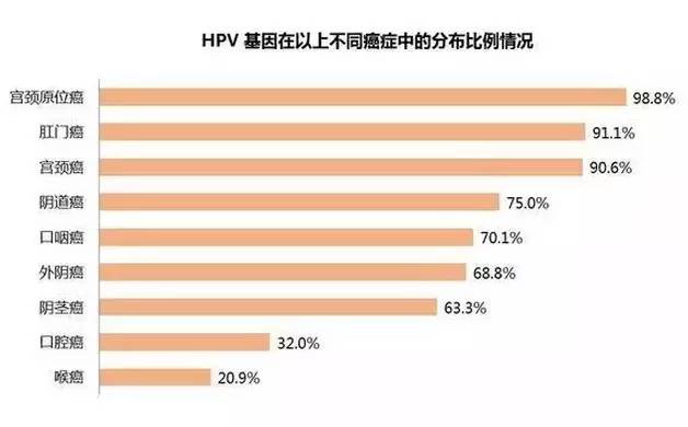 心應為你像死一樣沉寂 第2頁