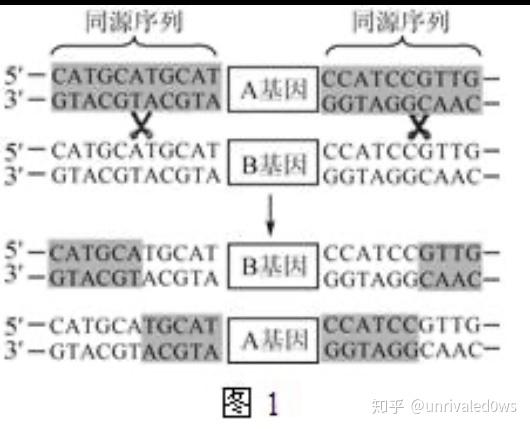 四川長(zhǎng)虹重組已成定局,＊＊解釋與示例：＊＊