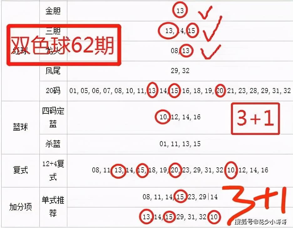 494949澳門今晚開什么454411,全面解析數(shù)據(jù)執(zhí)行_紀(jì)念版89.988