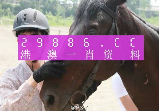 澳門(mén)一肖一碼一l必開(kāi)一肖,收益成語(yǔ)分析落實(shí)_MP13.78