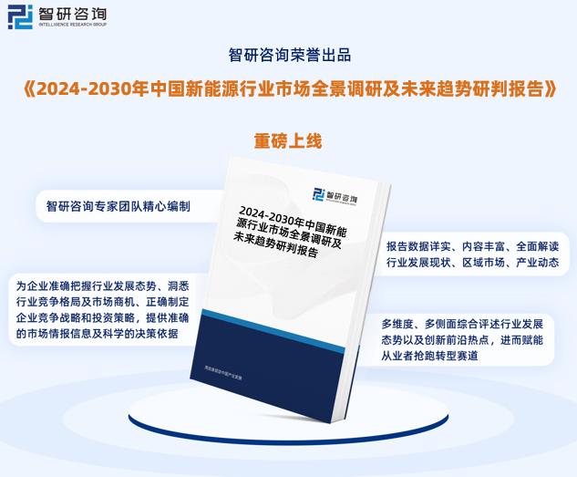 2024新奧資料免費(fèi)公開(kāi),整體規(guī)劃執(zhí)行講解_OP38.708